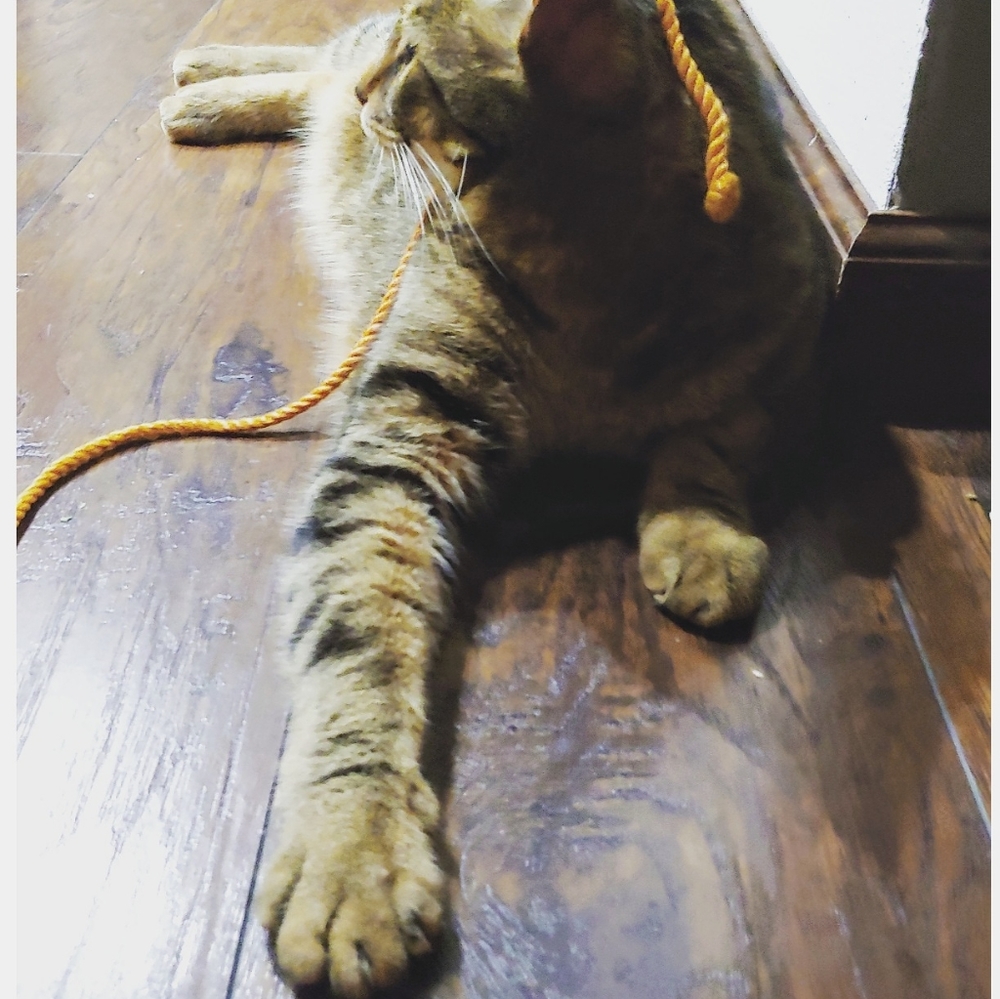 AMAZING SALE! Get unique hand crafted gifts here ❤❤❤ - Picture 13 of 13